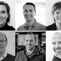 Leiinga i Helse Vest IKT